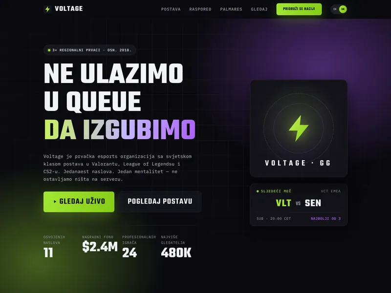 Esports organizacija - Landing stranica